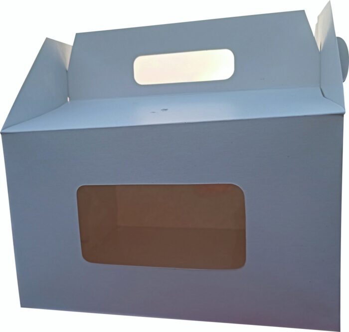 CAKE BOX HANDLE CARRY 1 scaled 1