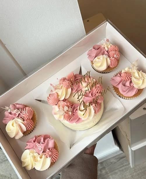 4Cupcakes with Bento Cake Transparent Lid Box